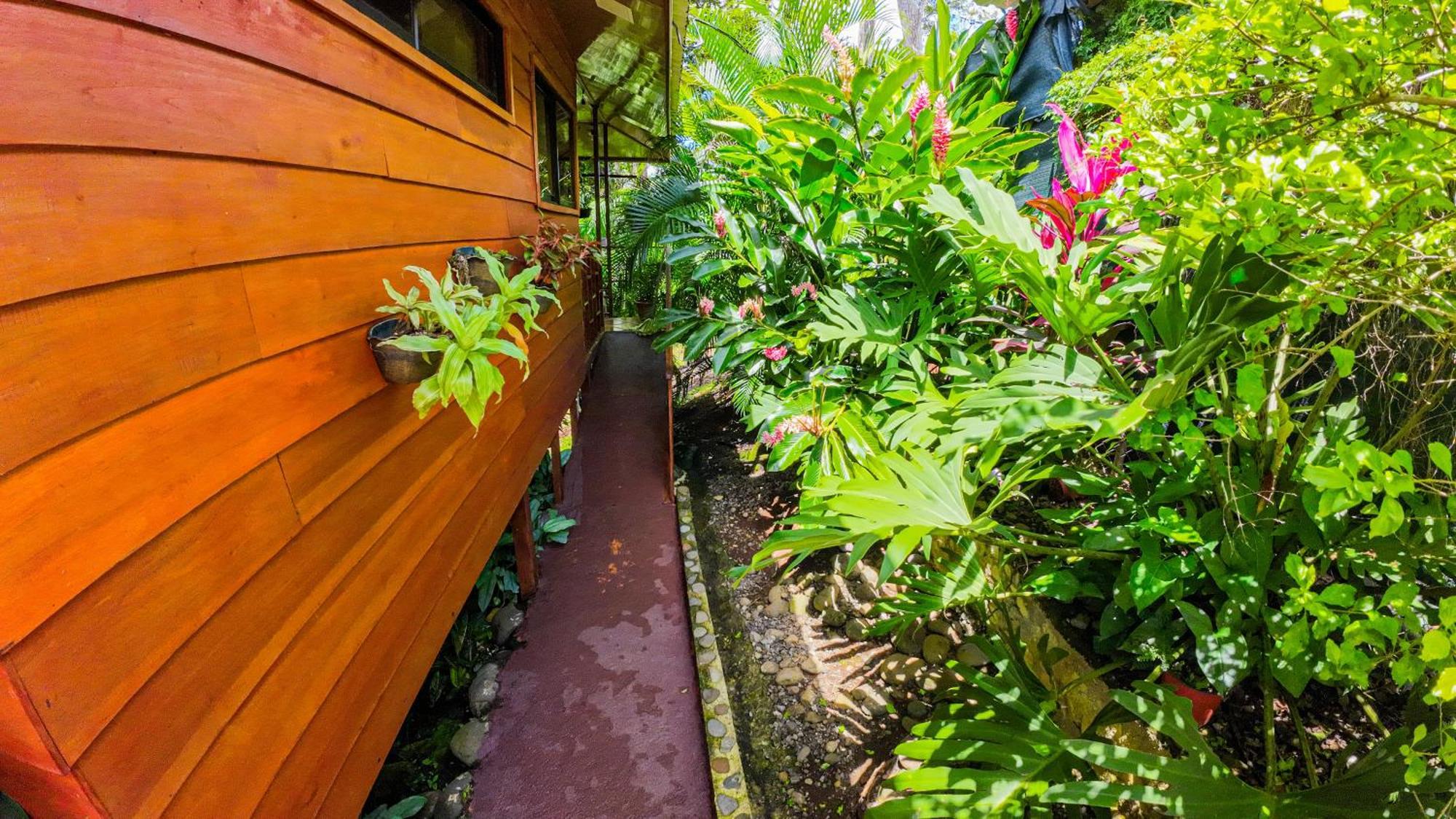 Bungalows Las Iguanas Arenal Volcano La Fortuna Buitenkant foto