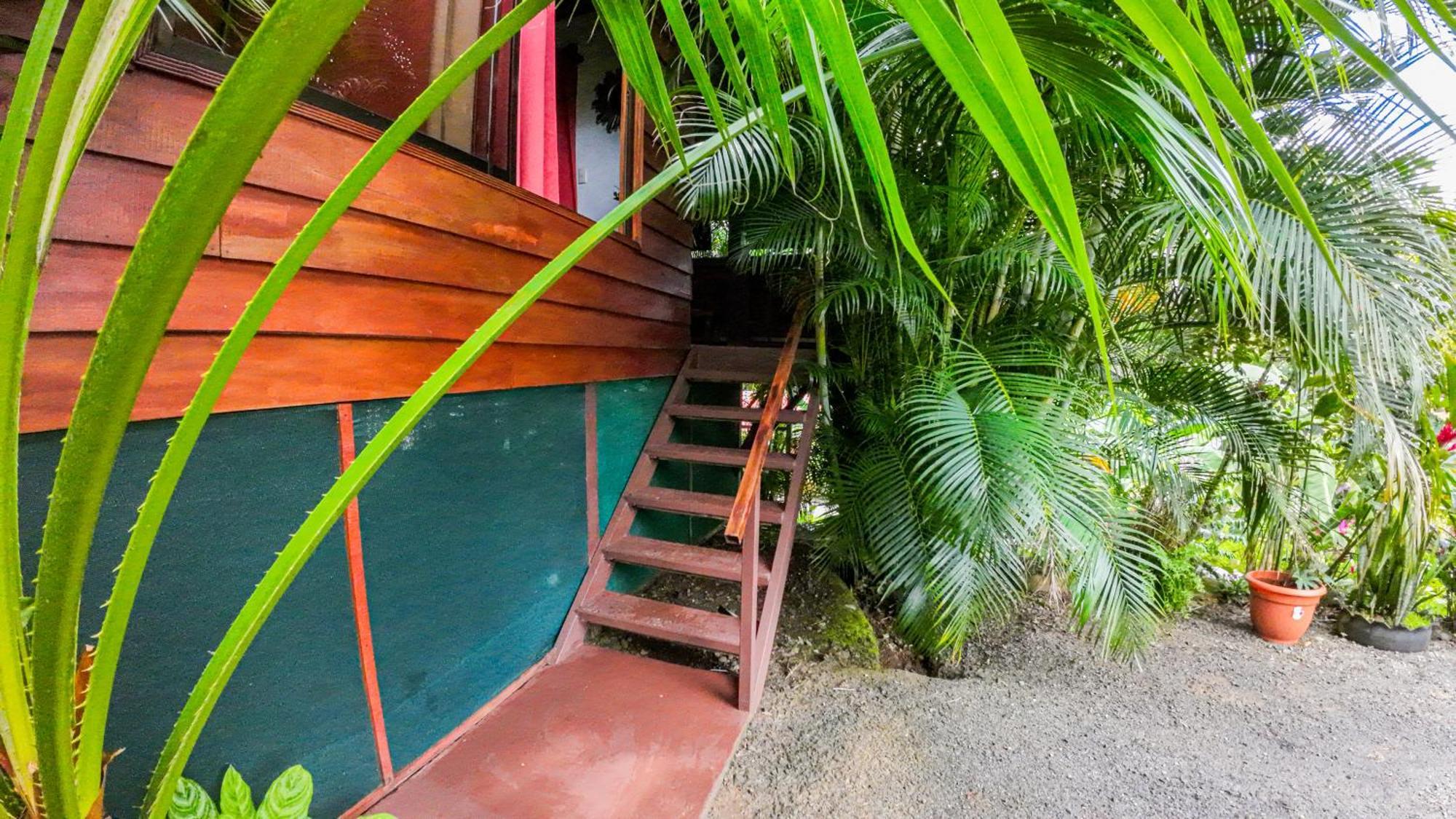 Bungalows Las Iguanas Arenal Volcano La Fortuna Buitenkant foto