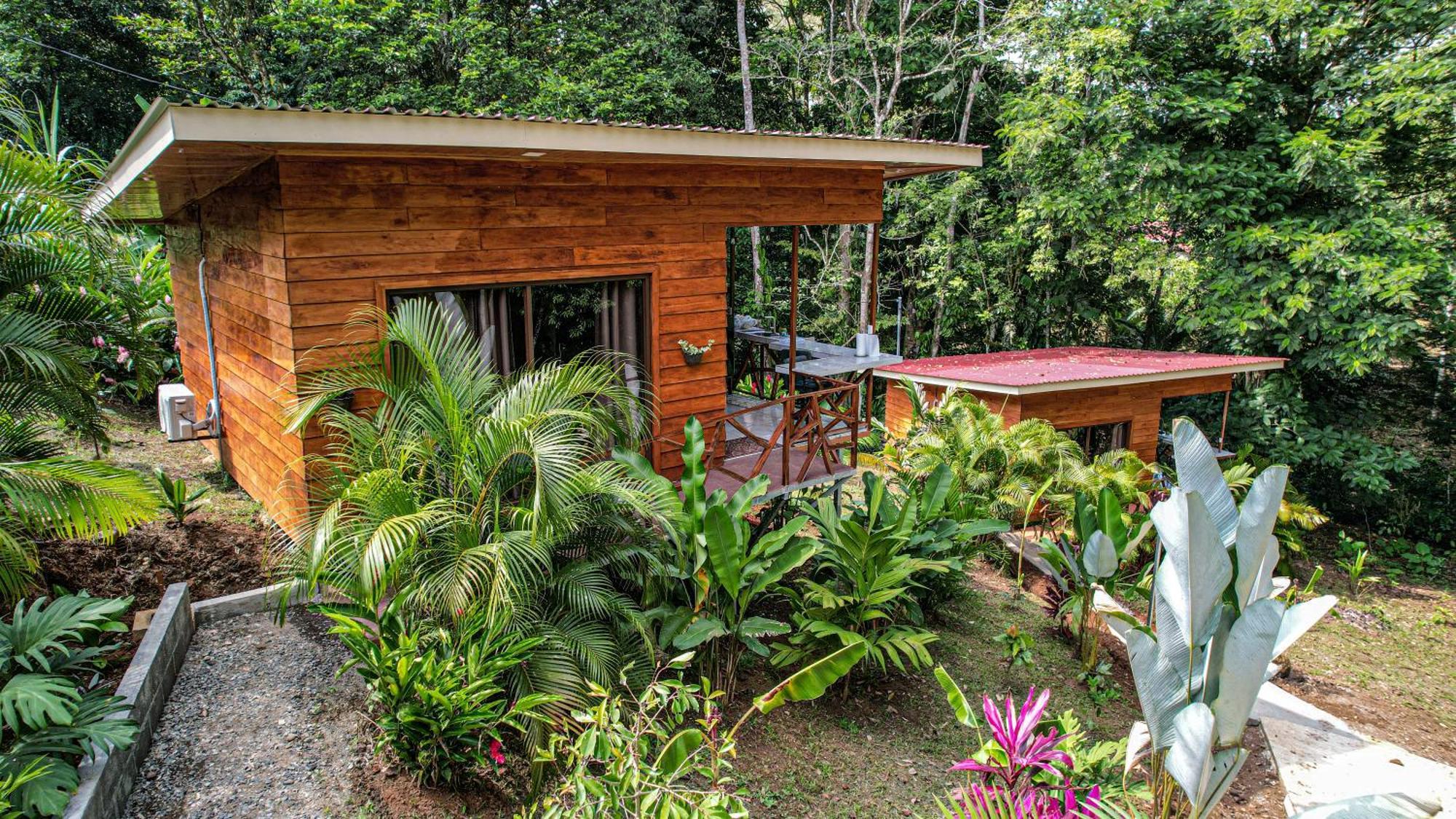 Bungalows Las Iguanas Arenal Volcano La Fortuna Buitenkant foto