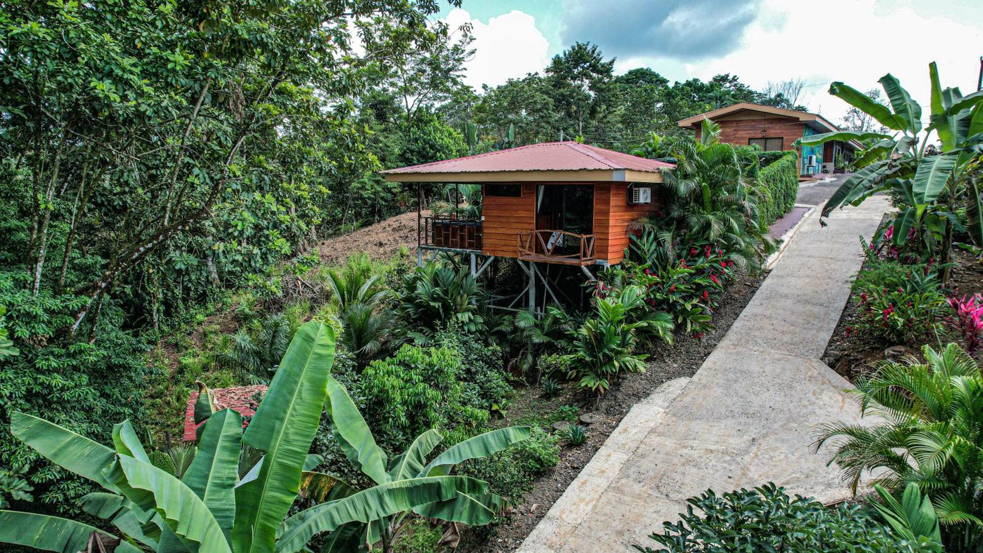 Bungalows Las Iguanas Arenal Volcano La Fortuna Buitenkant foto