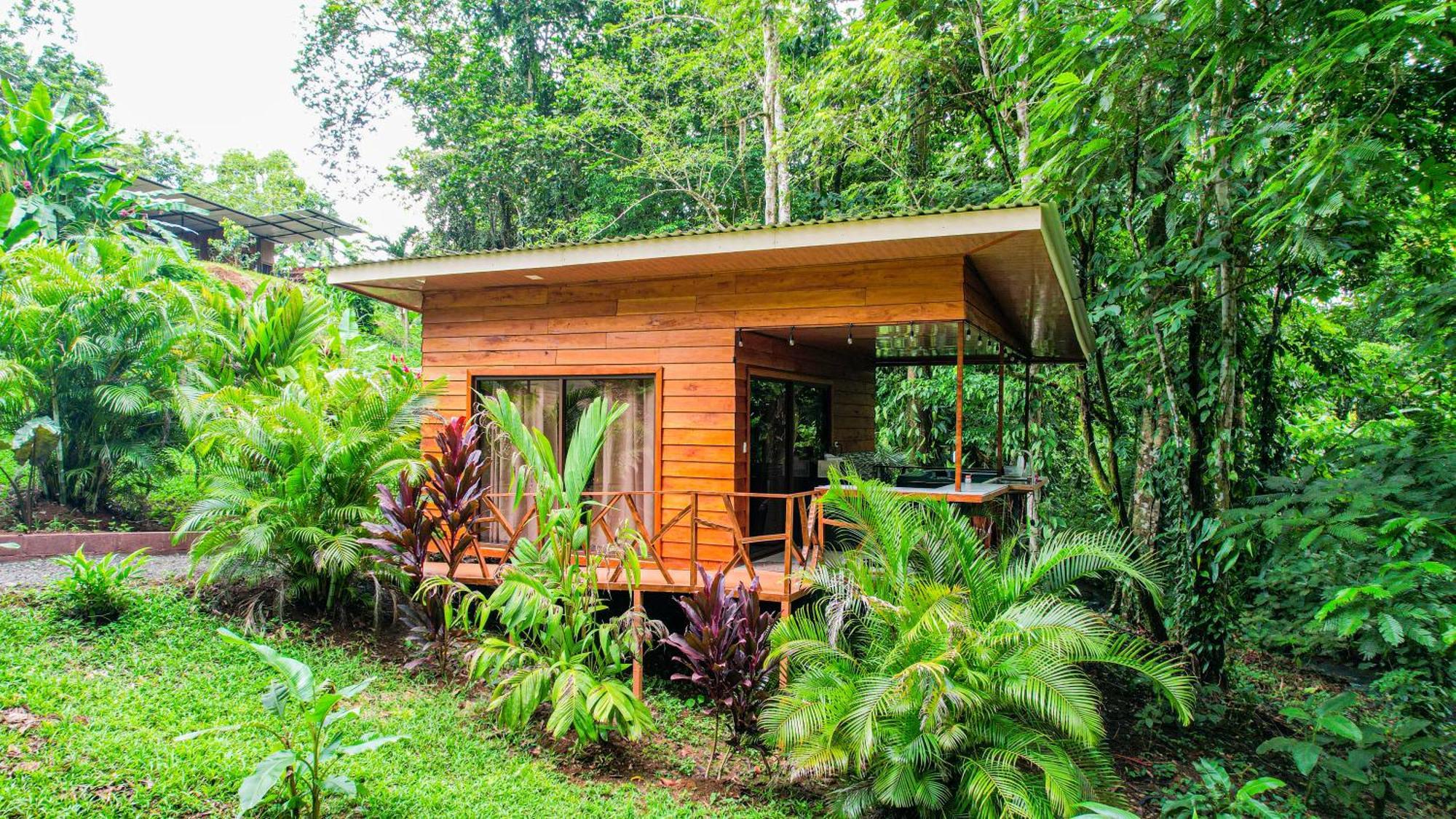 Bungalows Las Iguanas Arenal Volcano La Fortuna Buitenkant foto